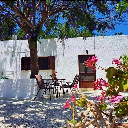 Blue Acacia In Leros Alinda (Leros)