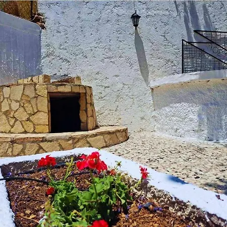 Blue Acacia In Leros