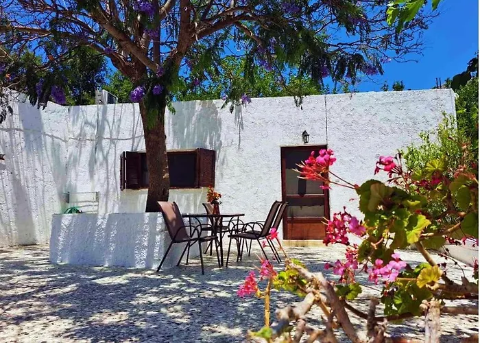 Blue Acacia In Leros アリンダ