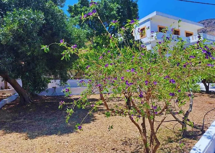 Blue Acacia In Leros *