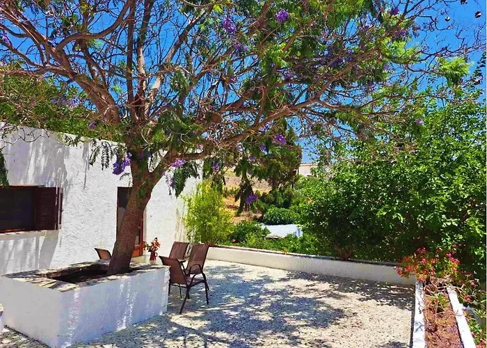 Blue Acacia In Leros