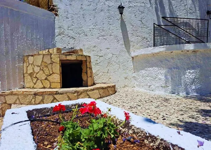 Blue Acacia In Leros